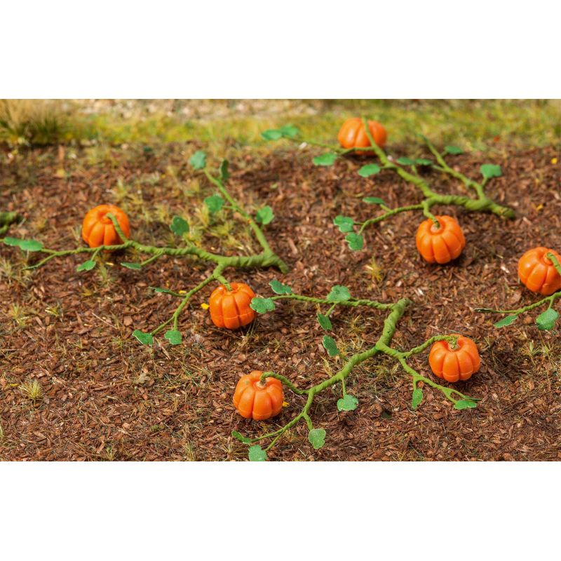 Citrouilles 6 pieces