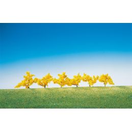 Forsythias fleurs jaune 6