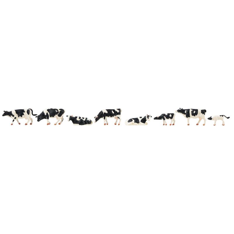 Vaches, frisonnes pies noires