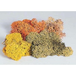 LICHENS 4 COULEURS 48G