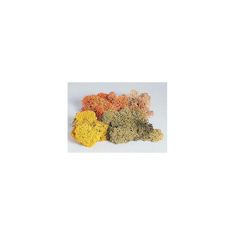 LICHENS 4 COULEURS 48G