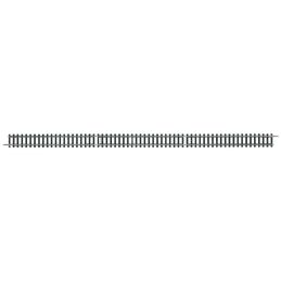 Train electrique rail, Piste 312.6 mm